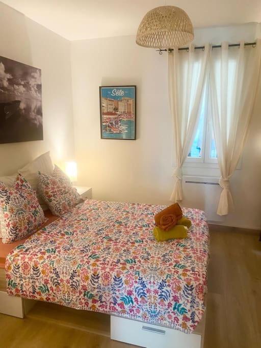 Appartement Neuf Cosy Centre Ville Quartier Haut Sète Exterior foto